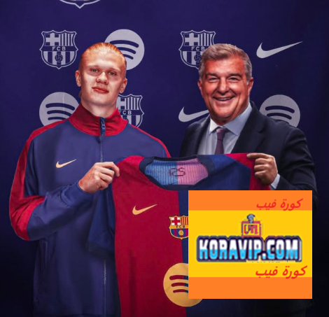 Koravip.com :